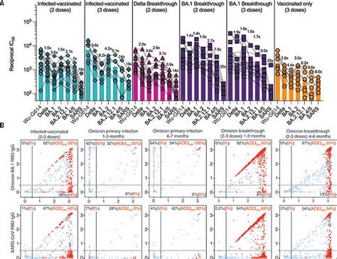 Imprinted Antibody Responses Against SARS CoV 2 Omicron Sublineages