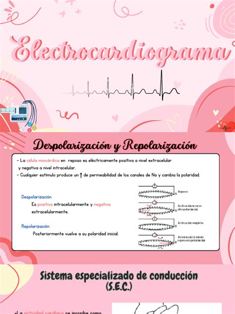 Electrocardiograma Descargar Gratis Pdf Electrocardiografia