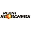 Adelaide Strikers Vs Perth Scorchers 48th Match Big Bash League