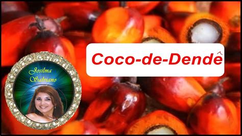 Coco de dendê Plantas Que Curam YouTube