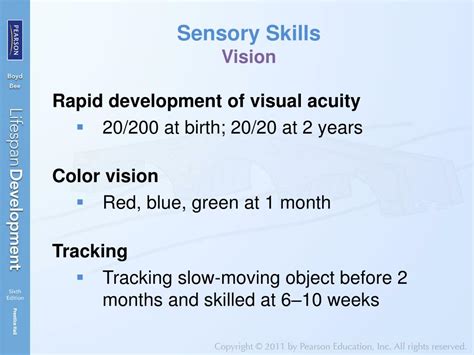 PPT - Physical, Sensory, and Perceptual Development In Infancy ...
