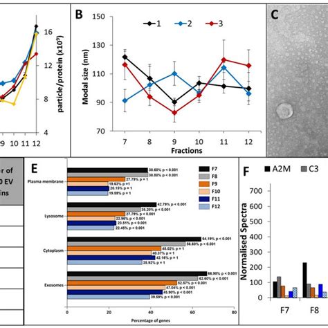 Characterisation And Annotations Of Plasma Ev Fractions Nanoparticle