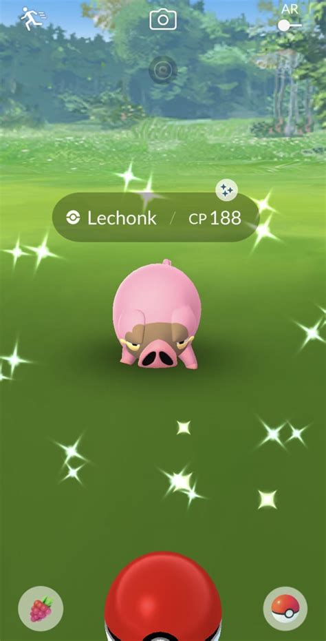 Shiny Lechonk Confirmation Rpokemongo