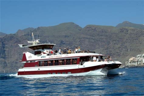 Boats Whales And Dolphins Excursions In Tenerife