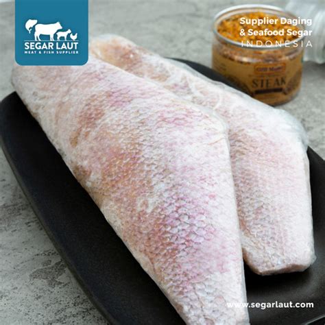 Jual Ikan Kakap Merah Fillet Red Snapper Fillet Premium Fresh