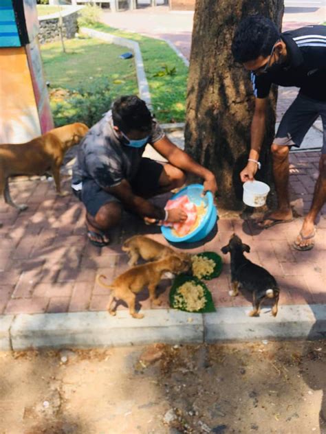 Sri Lanka Tweet 🇱🇰 💉 On Twitter Massive Kindness 🇱🇰 As A Nation