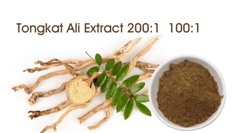 Tongkat Ali Extract Best Nutras