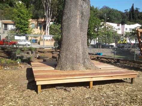 del valle bench under an oak tree 5
