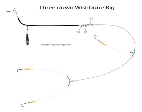 How To Tie A Three Down Rig Planet Sea Fishing Artofit