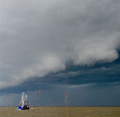 Einzelne Gewitter an der Nordseeküste erwartet WELT