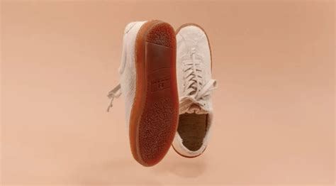 Canadians Invent Biodegradable Shoes Made From Plants – Bioplastics News