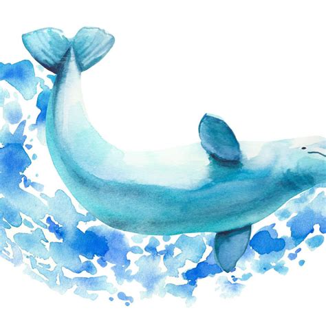 Beluga Whale Wall Art | Prints, Framed Prints And Multi Panel Art