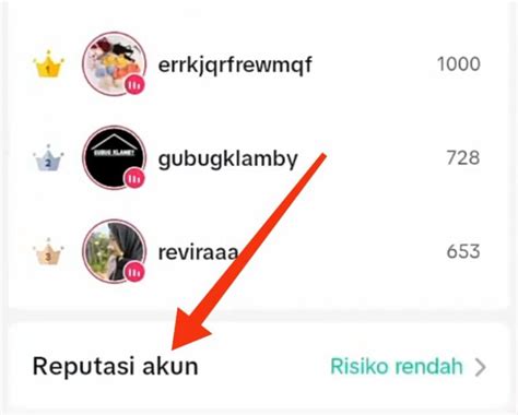 Cara Melihat Pelanggaran Tiktok Dan Mengajukan Banding