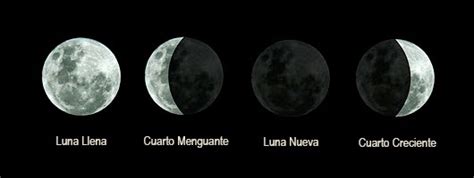 Los Primeros A La Par Fases De La Luna The Best Porn Website