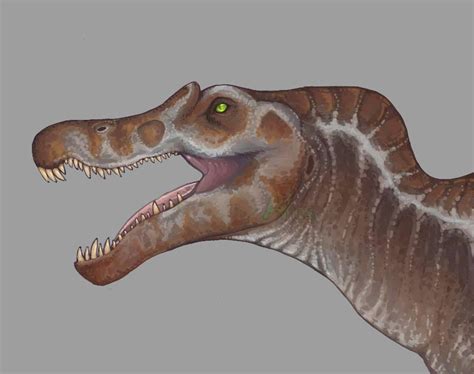 Finished Jp3 Spinosaurus Bust By Aphesium On Deviantart