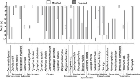 Maximum And Minimum Depth Distribution Of Dominant Macroalgal Species