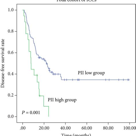 Survival Analysis Showing Patients With High Pii Had Poor Prognosis In