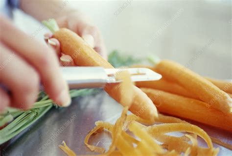 Peeling carrots - Stock Image - H110/2534 - Science Photo Library