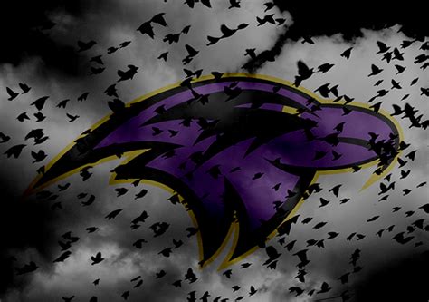 Baltimore Ravens Logo Concept Behance