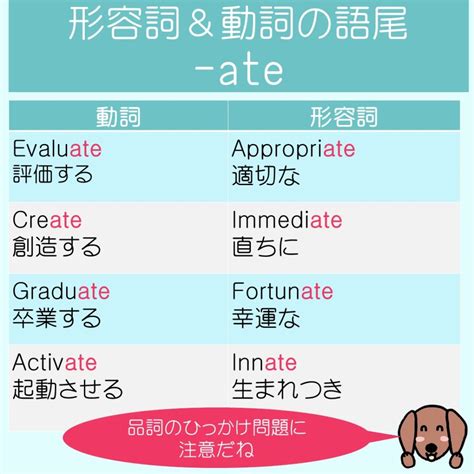 英語の品詞の見分け方をやり直し【toeic985点取得者が解説】 公務員3回突破＆toeic985点・きなこの学校