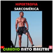 Hipertrofia Sarcom Rica Vs Sarcoplasm Tica Descubre El Tipo De