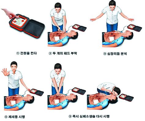 심폐소생술· 자동심장충격기 올바른 활용법은 언제 어디서든 골든타임 지키자 국민일보