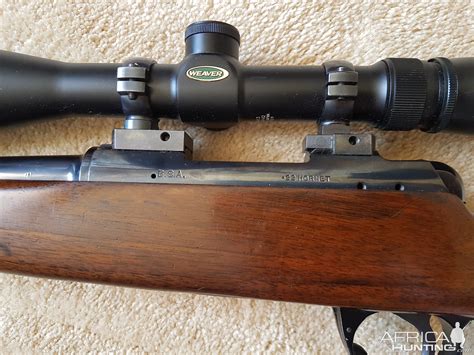 BSA .22 Hornet Rifle | AfricaHunting.com