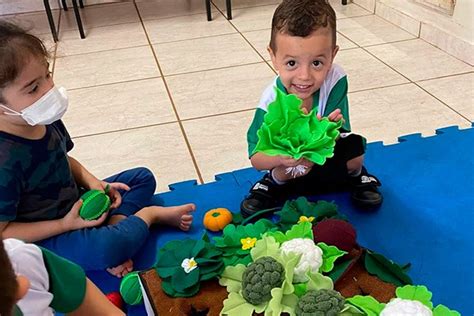 Educar e Nutrir Livros e materiais lúdicos para Escola