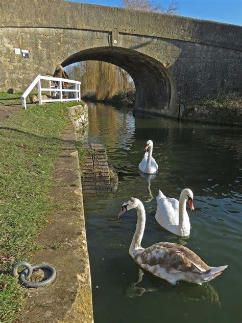 The Kennet and Avon Canal Trail - Walking Bristol - a Showcase