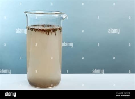 Glass Of Contaminated Water On Light Blue Background Stock Photo Alamy