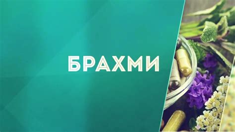 Брахми. Инструкция по применению. - YouTube
