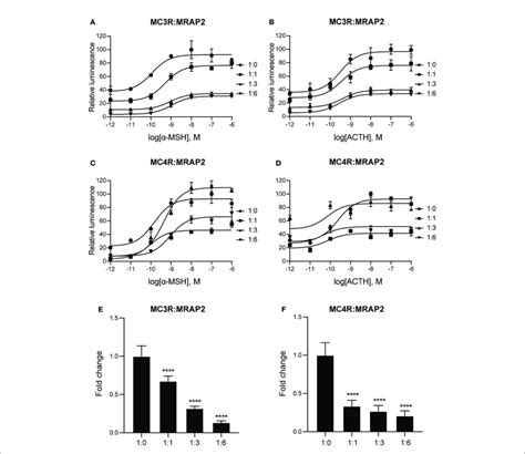 Pharmacological Modulation Of Axolotl Mc3r And Mc4r By A Msh And Download Scientific Diagram