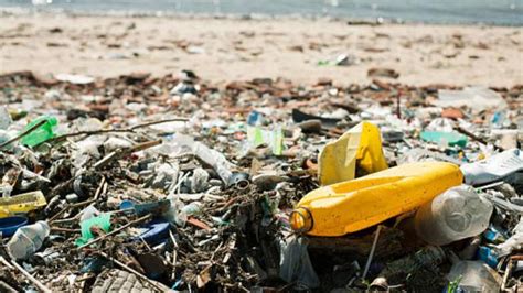 Crescono I Rifiuti Sulle Spiagge Italiane Ogni Metri Non