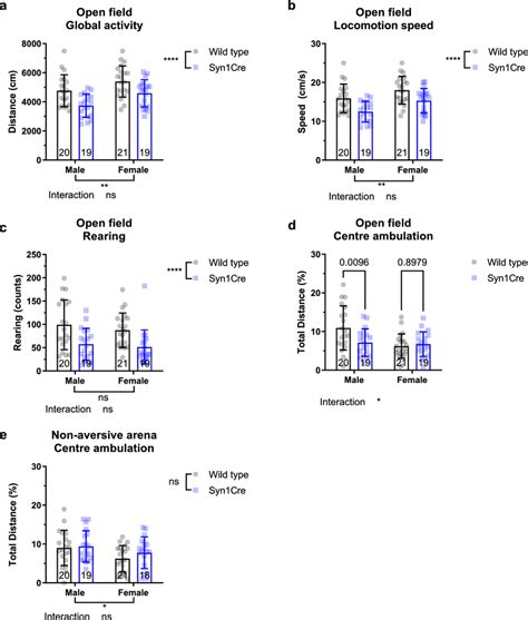 Exploratory And Anxiety Like Behaviour In Syn1Cre Mice A Locomotor