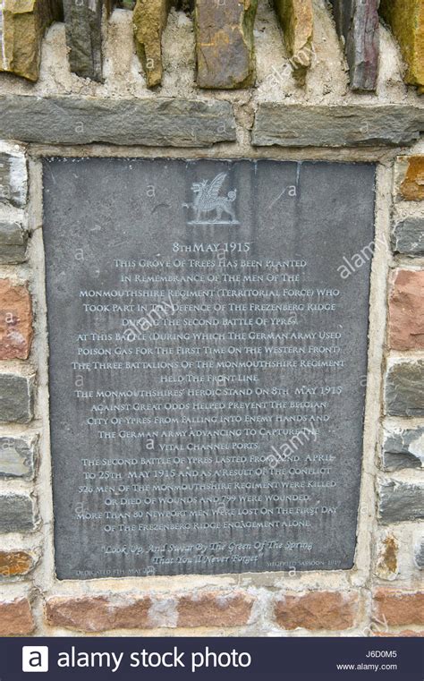 Wwi War Memorial To Monmouthshire Regiment In Newport South Wales Uk