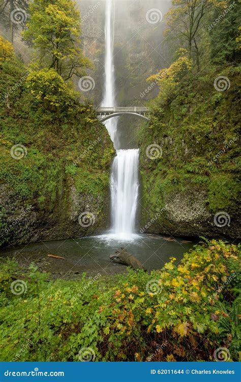 Bridge Leads Over A Huge Water Fall In Oregon Stock Photo Image Of