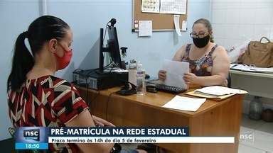 Nsc Not Cias Sc Febre Amarela Matou Quatro Macacos Em Globoplay