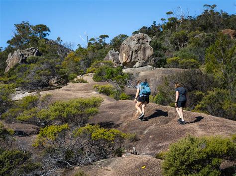 Mount Amos Hike Tasmania Your Ultimate 2023 Guide