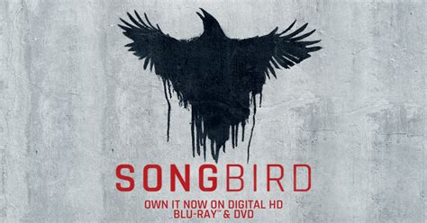 Songbird Official Movie Website Own It Now On Digital Hd Blu Ray