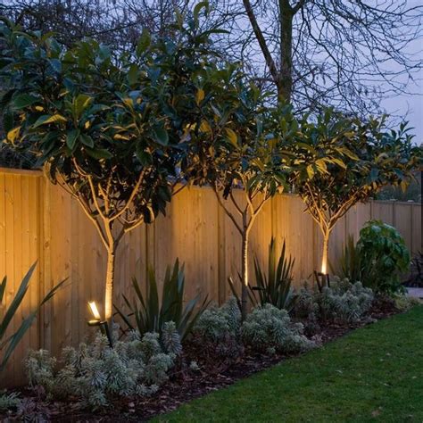 Uplit Trees Adding Interest Along The Fence In The Furthest Garden