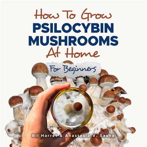 Buy How to Grow Psilocybin Mushrooms at Home for Beginners: 5