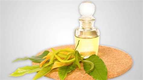 Amazing Benefits Ylang Ylang Essential Oil Brings —