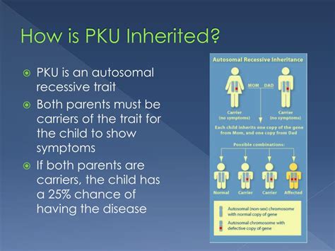 Ppt Phenylketonuria Pku Powerpoint Presentation Free Download Id