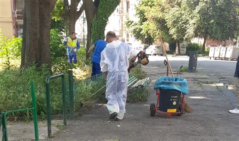 Rione Berlingieri Domenica Messa Di Pentecoste Allaperto Luomo E