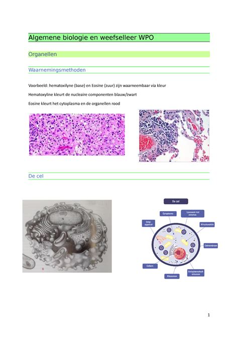 Sammenvatting Wpo Weefselleer Algemene Biologie En Weefselleer WPO