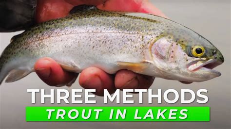 Top 3 Trout Fishing Tactics For Lakes And Ponds In Depth How To Youtube