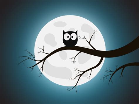 Night Owl by Ahmed Essam on Dribbble