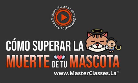 Como Superar La Muerte De Tu Mascota Home