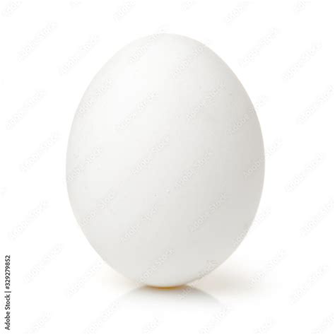 white egg isolated  white background stock photo adobe stock