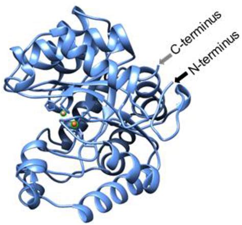 Molecules Free Full Text Modification And Assembly Of A Versatile